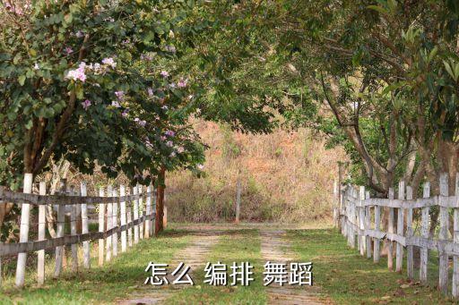 舞蹈位置编排图片,第二集:舞蹈动机要明确如何发挥作用