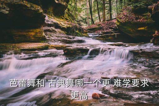 芭蕾舞和 古典舞哪一个更 难学要求更高