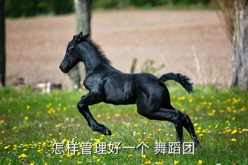 怎样管理好一个 舞蹈团