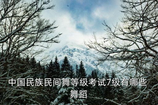 考级舞蹈鸭子戏水,中国民族民间舞蹈等级考试:1舞蹈介绍