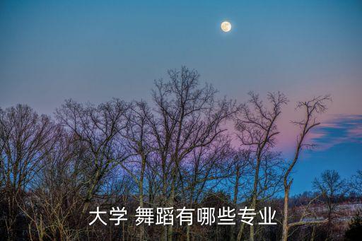  大学 舞蹈有哪些专业