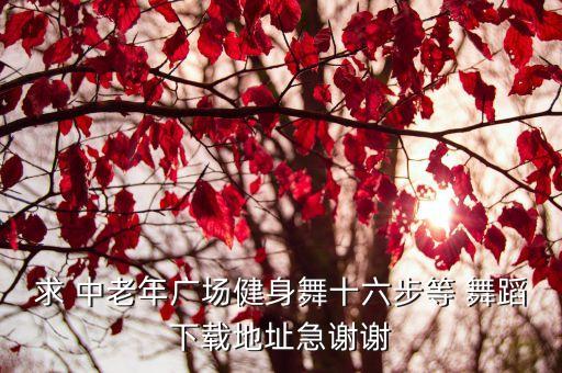 中老年特色舞蹈,中国广场舞热潮十几年深受老年人喜爱