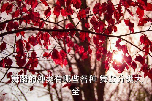  舞蹈的种类有哪些各种 舞蹈分类大全