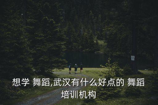 车站的舞蹈,舞蹈培训班好不好?
