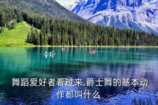  舞蹈爱好者看过来,爵士舞的基本动作都叫什么