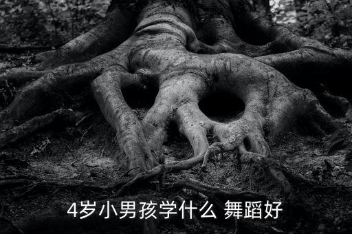 4岁小男孩学什么 舞蹈好