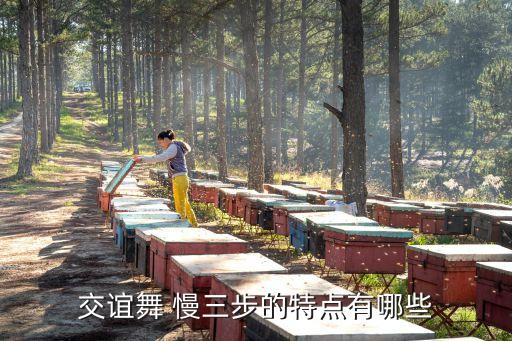 交谊舞 慢三步的特点有哪些