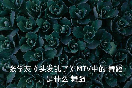 张学友《头发乱了》MTV中的 舞蹈是什么 舞蹈
