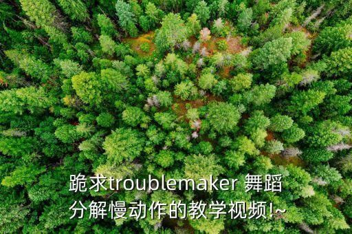 跪求troublemaker 舞蹈 分解慢动作的教学视频!~