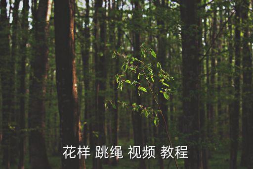 花样 跳绳 视频 教程