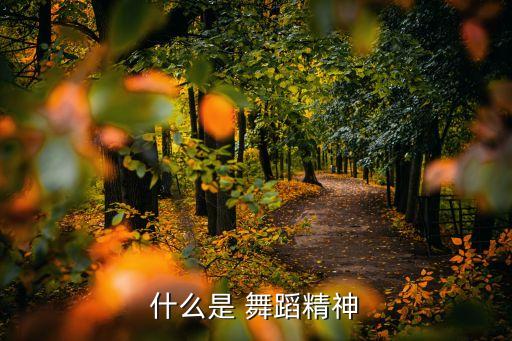 什么是 舞蹈精神