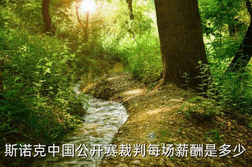 体育舞蹈 裁判员 待遇