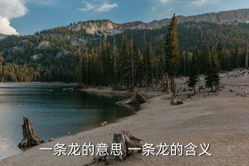  一条龙的意思 一条龙的含义