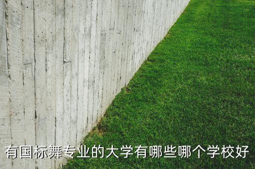 有国标舞专业的大学有哪些哪个学校好