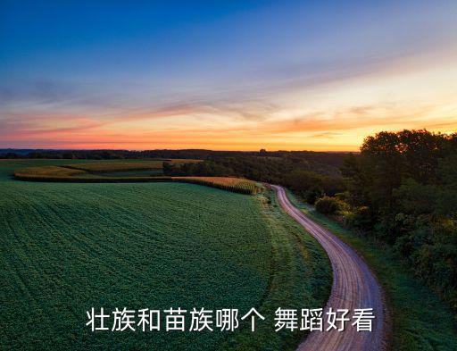 壮族舞蹈的风格,壮族钢管舞又名侗族苗舞蹈各有特点
