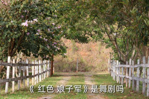 《 红色 娘子军》是舞剧吗