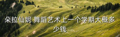 朵拉仙妮 舞蹈艺术上一个学期大概多少钱