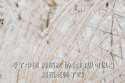 考了中国 舞蹈家 协会13级可以当舞蹈老师了吗