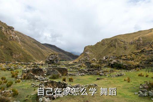自己在家怎么学 舞蹈