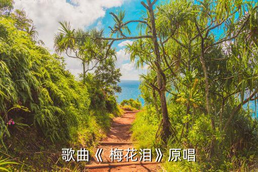 形体舞蹈梅花泪,梅花泪的原唱是紫菱