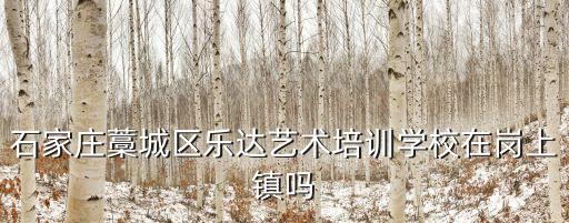 河北市舞蹈培训班,河北廊坊美术培训学校开设舞蹈专业培训