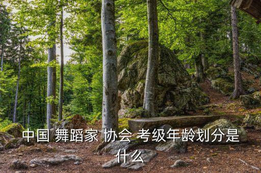 中国 舞蹈家 协会 考级年龄划分是什么