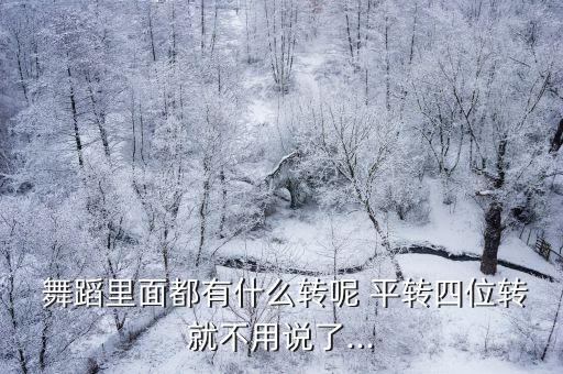 舞蹈平转是什么意思啊,即兴舞蹈（平转）