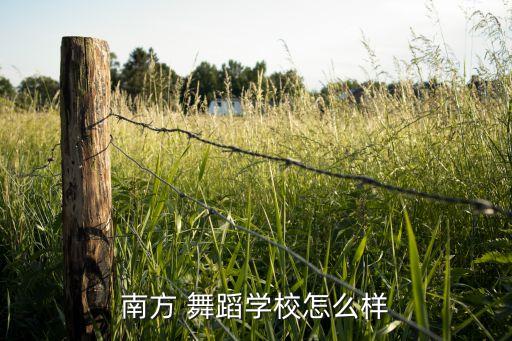 圆梦的视频舞蹈,北京舞蹈团a舞蹈高水平艺术团今天结业