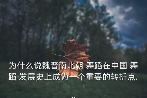 中国舞蹈发展史古代,艺术发展的转折点-舞蹈唐代的传承与变异