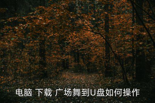电脑 下载 广场舞到U盘如何操作