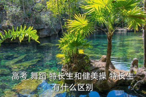 高考 舞蹈 特长生和健美操 特长生有什么区别