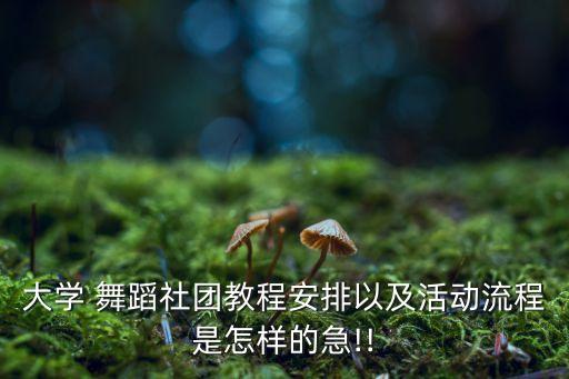大学 舞蹈社团教程安排以及活动流程是怎样的急!!