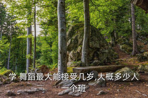 舞蹈师资班多大的人学,孩子学习舞蹈好处多注重身体和气质