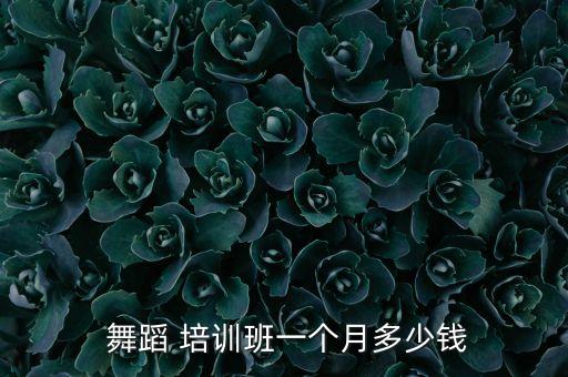 抚州红舞鞋舞蹈培训班收费标准,每个舞蹈培训学校收费都不一样