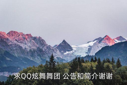 求QQ炫舞舞团 公告和简介谢谢