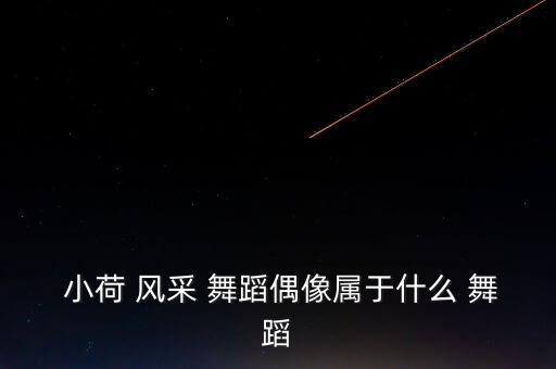 小荷风采舞蹈群舞名单,中国首届少儿舞蹈展览小荷风采舞蹈