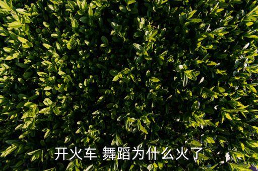 开火车 舞蹈为什么火了