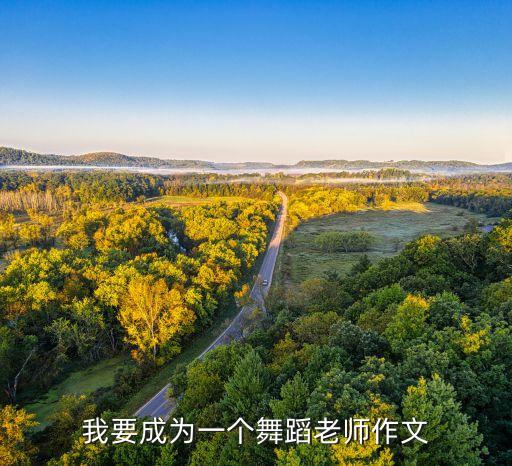 我要成为一个舞蹈老师作文