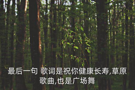 最后一句 歌词是祝你健康长寿,草原歌曲,也是广场舞