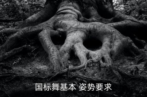 国标舞基本 姿势要求