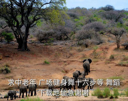 求中老年 广场健身舞十六步等 舞蹈下载地址急谢谢