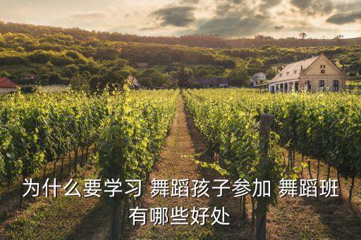 为什么要学习 舞蹈孩子参加 舞蹈班有哪些好处