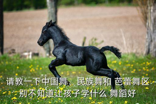请教一下中国舞、民族舞和 芭蕾舞区别不知道让孩子学什么 舞蹈好