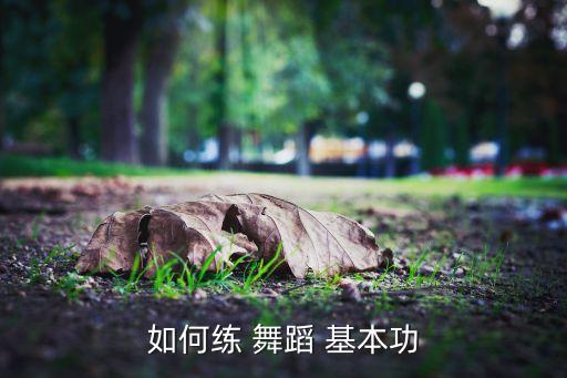 舞蹈基本功手的训练,舞蹈basic-2基本功的重要性