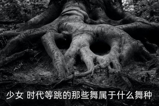 少女 时代等跳的那些舞属于什么舞种