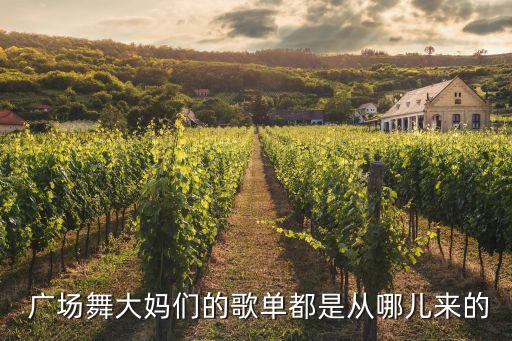 杉杉广场舞蹈母亲,广场舞者歌单网上下载大妈们跳的广泛舞