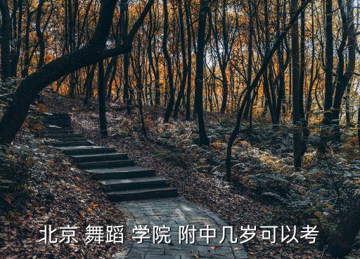 北京舞蹈学院附中不招国标,北京舞蹈高中招生简章出炉