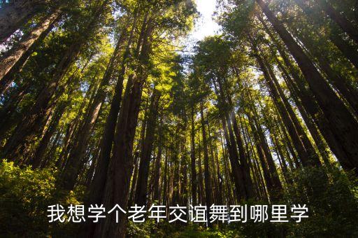 老年人舞蹈教学视频,老年人拍手跳舞是从酷狗下载的