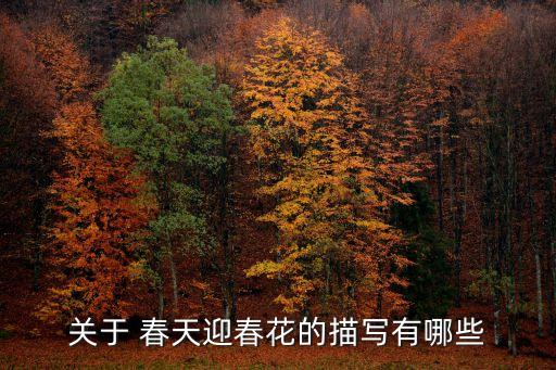 关于 春天迎春花的描写有哪些