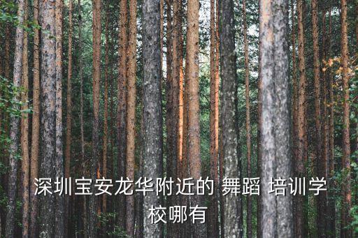  深圳宝安龙华附近的 舞蹈 培训学校哪有